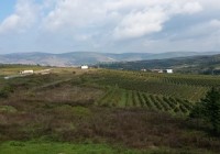 wijnroute kosovo